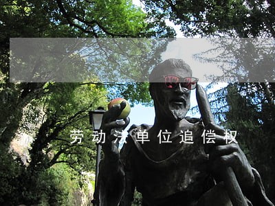 劳动法单位追偿权 劳动法单位追偿权
