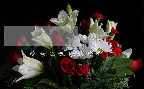 劳动法双培赔偿 劳动法双培赔偿