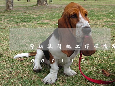 劳动法司机工作时长规定/2023021009119 劳动法司机工作时长规定/2023021009119