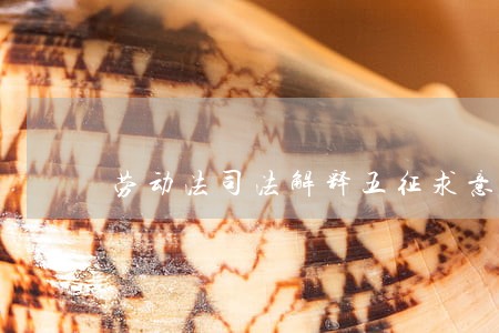 劳动法司法解释五征求意见 劳动法司法解释五征求意见