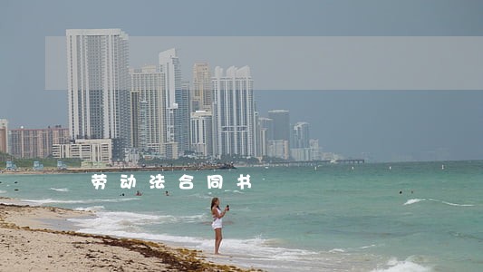 劳动法合同书 劳动法合同书