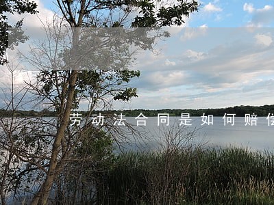 劳动法合同是如何赔偿金