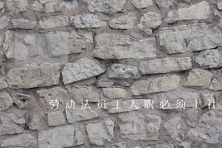 劳动法员工入职必须上社保 劳动法员工入职必须上社保