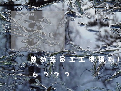 劳动法员工工资福利/2023021036777 劳动法员工工资福利/2023021036777