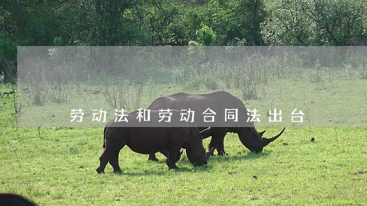 劳动法和劳动合同法出台 劳动法和劳动合同法出台