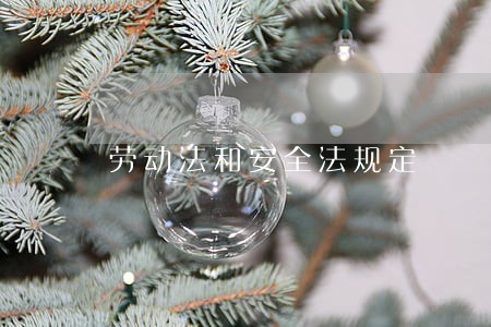 劳动法和安全法规定 劳动法和安全法规定