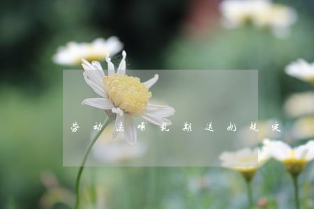 劳动法哺乳期送奶规定 劳动法哺乳期送奶规定