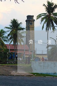 劳动法国外知名学者