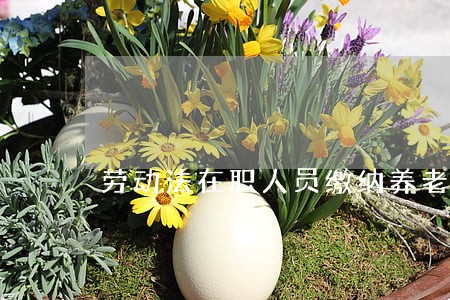劳动法在职人员缴纳养老保险系数