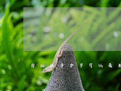 劳动法多少岁可以录用