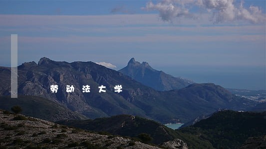 劳动法大学 劳动法大学