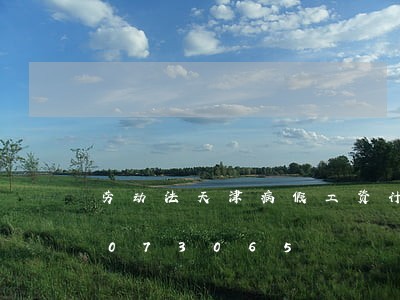 劳动法天津病假工资计算/2023021073065 劳动法天津病假工资计算/2023021073065