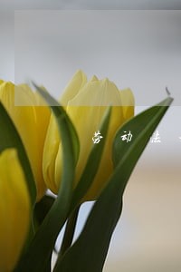 劳动法女人生育 劳动法女人生育