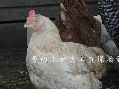 劳动法女员工有保胎假吗 劳动法女员工有保胎假吗
