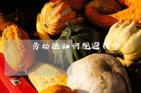 劳动法如何规避押金 劳动法如何规避押金
