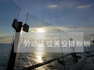劳动法妥善安排原则 劳动法妥善安排原则