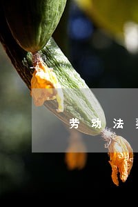 劳动法妻子生育陪护假的规定 劳动法妻子生育陪护假的规定
