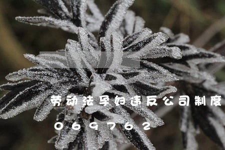 劳动法孕妇违反公司制度/2023021069762