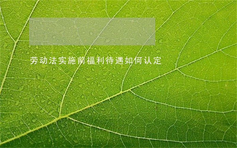 劳动法实施前福利待遇如何认定 劳动法实施前福利待遇如何认定