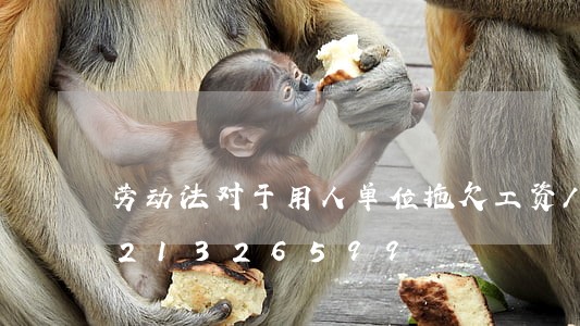 劳动法对于用人单位拖欠工资/2023021326599
