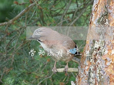 劳动法对员工进行降职 劳动法对员工进行降职