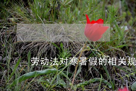 劳动法对寒暑假的相关规定 劳动法对寒暑假的相关规定