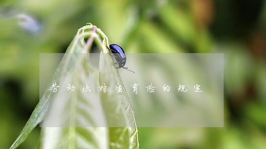 劳动法对生育险的规定 劳动法对生育险的规定