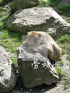 劳动法对病假工资的规定 劳动法对病假工资的规定