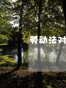 劳动法对私营企业是否真的有效 劳动法对私营企业是否真的有效