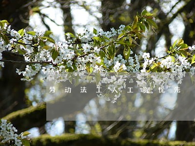 劳动法工人工资优先 劳动法工人工资优先