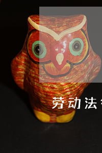 劳动法律咨询公司 劳动法律咨询公司