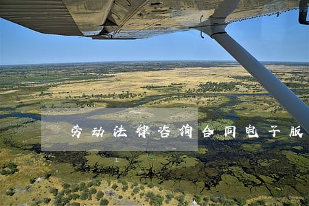 劳动法律咨询合同电子版 劳动法律咨询合同电子版
