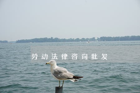 劳动法律咨询批发 劳动法律咨询批发