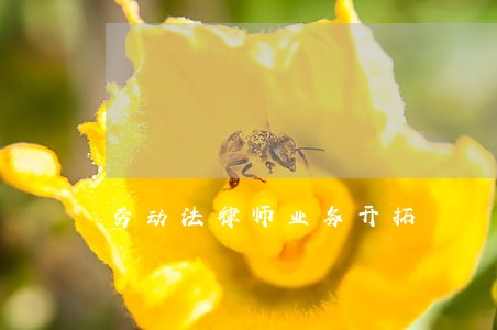 劳动法律师业务开拓 劳动法律师业务开拓