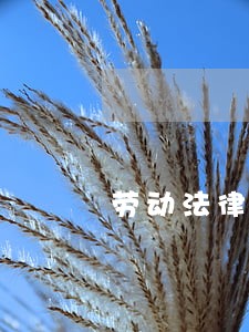 劳动法律顾问合同 劳动法律顾问合同