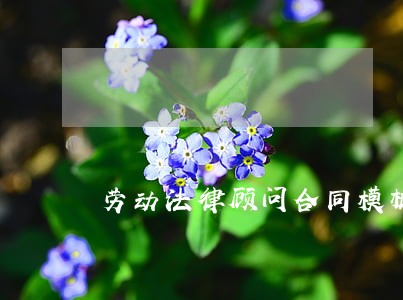 劳动法律顾问合同模板 劳动法律顾问合同模板
