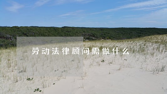 劳动法律顾问需做什么