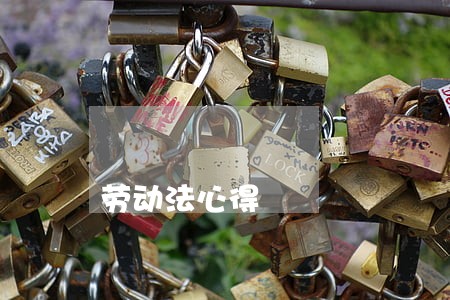 劳动法心得