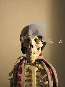 劳动法必须上的保险是什么 劳动法必须上的保险是什么