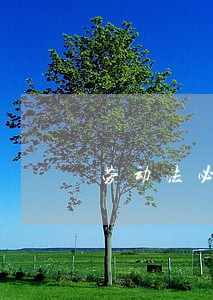 劳动法必须强制买公积金吗吗