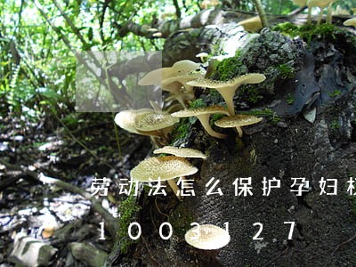 劳动法怎么保护孕妇权益的/2023021003127 劳动法怎么保护孕妇权益的/2023021003127