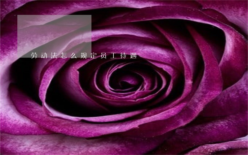 劳动法怎么规定员工待遇