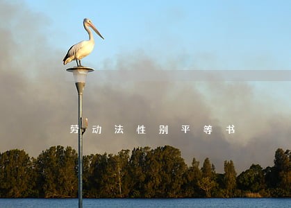 劳动法性别平等书 劳动法性别平等书