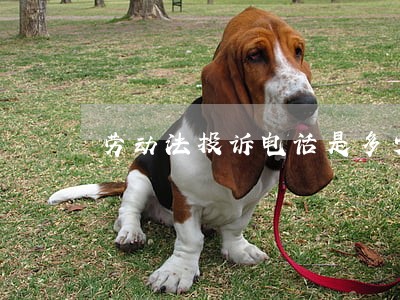 劳动法投诉电话是多少 劳动法投诉电话是多少