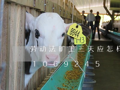 劳动法旷工三天应怎样处理/2023021069245 劳动法旷工三天应怎样处理/2023021069245