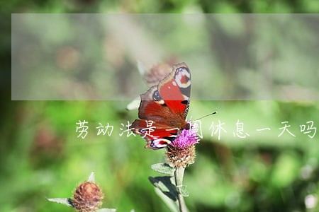 劳动法是一周休息一天吗 劳动法是一周休息一天吗