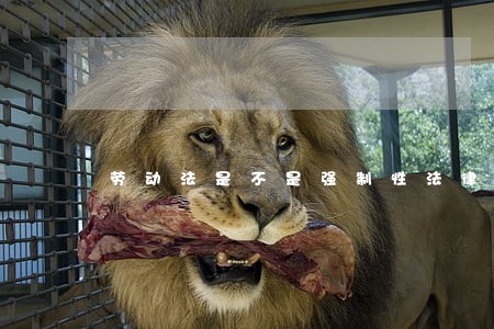 劳动法是不是强制性法律 劳动法是不是强制性法律
