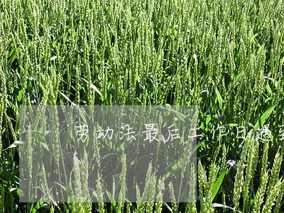 劳动法最后工作日遇到周末怎么算 劳动法最后工作日遇到周末怎么算