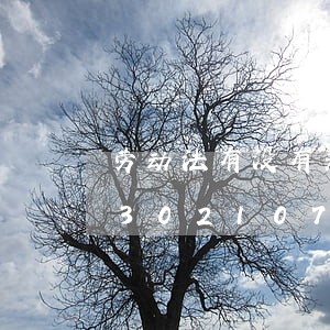 劳动法有没有关于必须长工资标准/2023021078867 劳动法有没有关于必须长工资标准/2023021078867