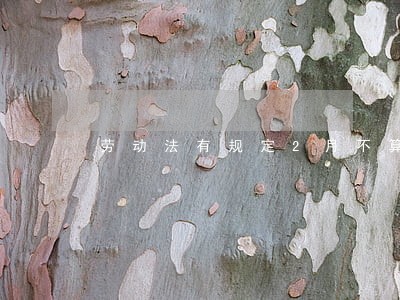 劳动法有规定2月不算满勤 劳动法有规定2月不算满勤